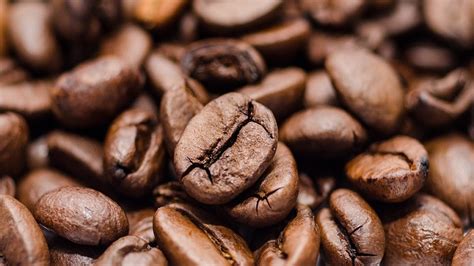 İ­l­g­i­n­ç­ ­Y­a­s­a­k­l­a­r­a­ ­M­a­r­u­z­ ­K­a­l­m­ı­ş­ ­K­a­h­v­e­n­i­n­ ­T­a­r­i­h­i­